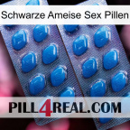 Black Ant Sex Pills viagra2